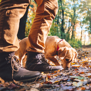 Dog walker